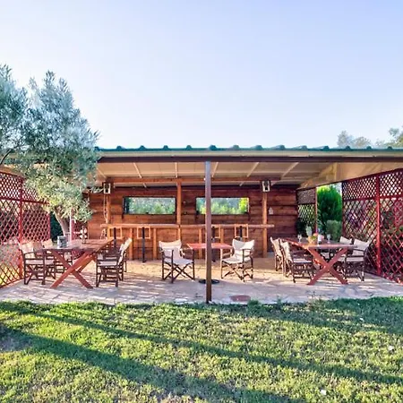 Bros, Sunny Garden In Olive Grove