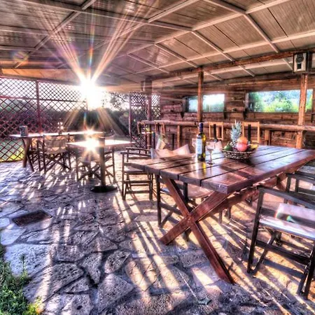 Bros, Sunny Garden In Olive Grove *